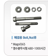 체결용 Bolt,Nut류
Magni565
염수분무시험 480~1000시간